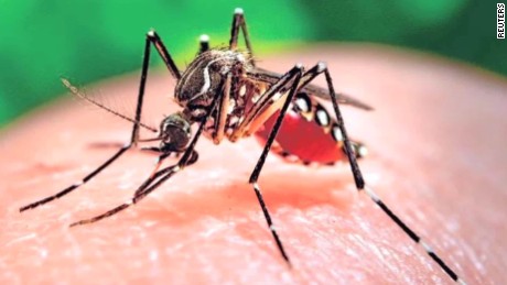 zika virus case in ahmedabad